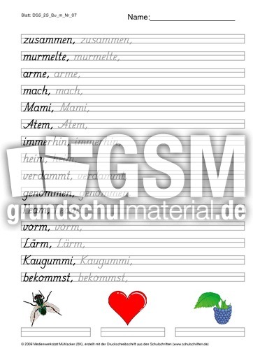 DSS_2S_Bu_m_Nr_07.pdf